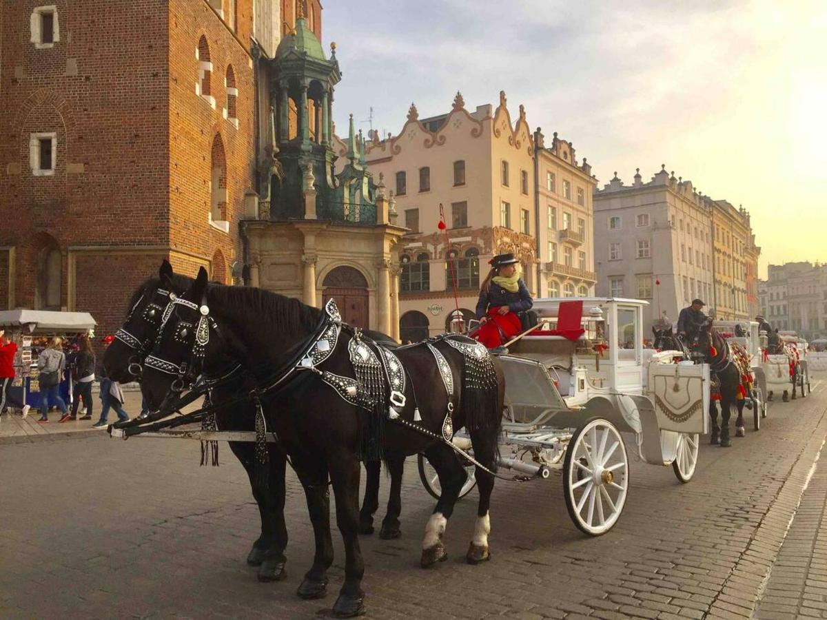 Studio Appartment In Old Town Краков Экстерьер фото